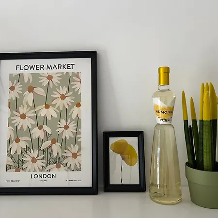 Casa Margherita Alba (Piedmont)