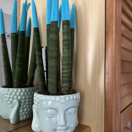 Casa Margherita Apartamento